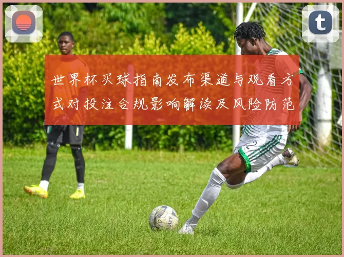 世界杯买球指南发布渠道与观看方式对投注合规影响解读及风险防范建议